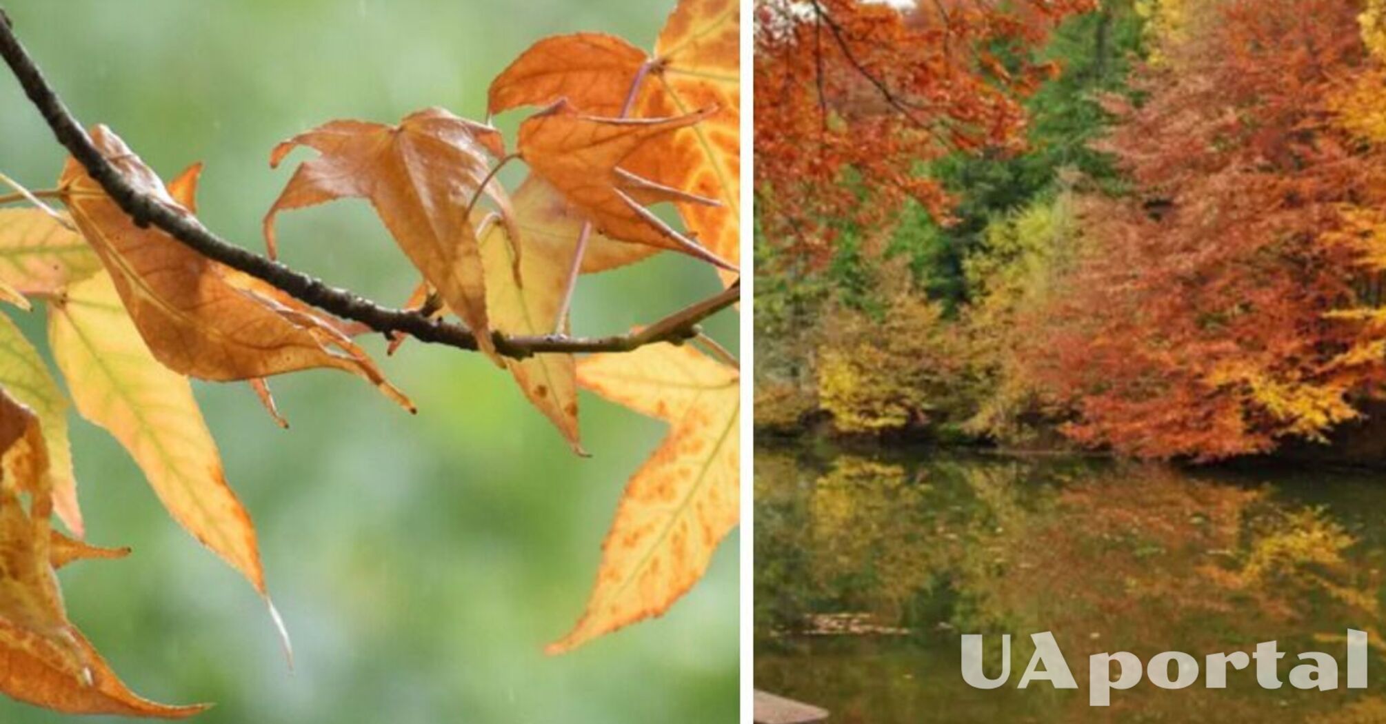 Хмарно та до 13 градусів тепла: прогноз погоди в Україні на 13 листопада 