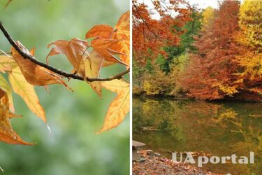 Хмарно та до 13 градусів тепла: прогноз погоди в Україні на 13 листопада