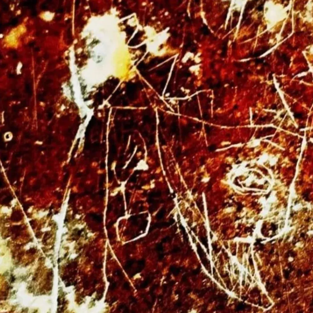 На півдні Ірану виявили наскельне зображення сасанідського царя: чим унікальне (фото)