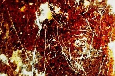 На півдні Ірану виявили наскельне зображення сасанідського царя: чим унікальне (фото)