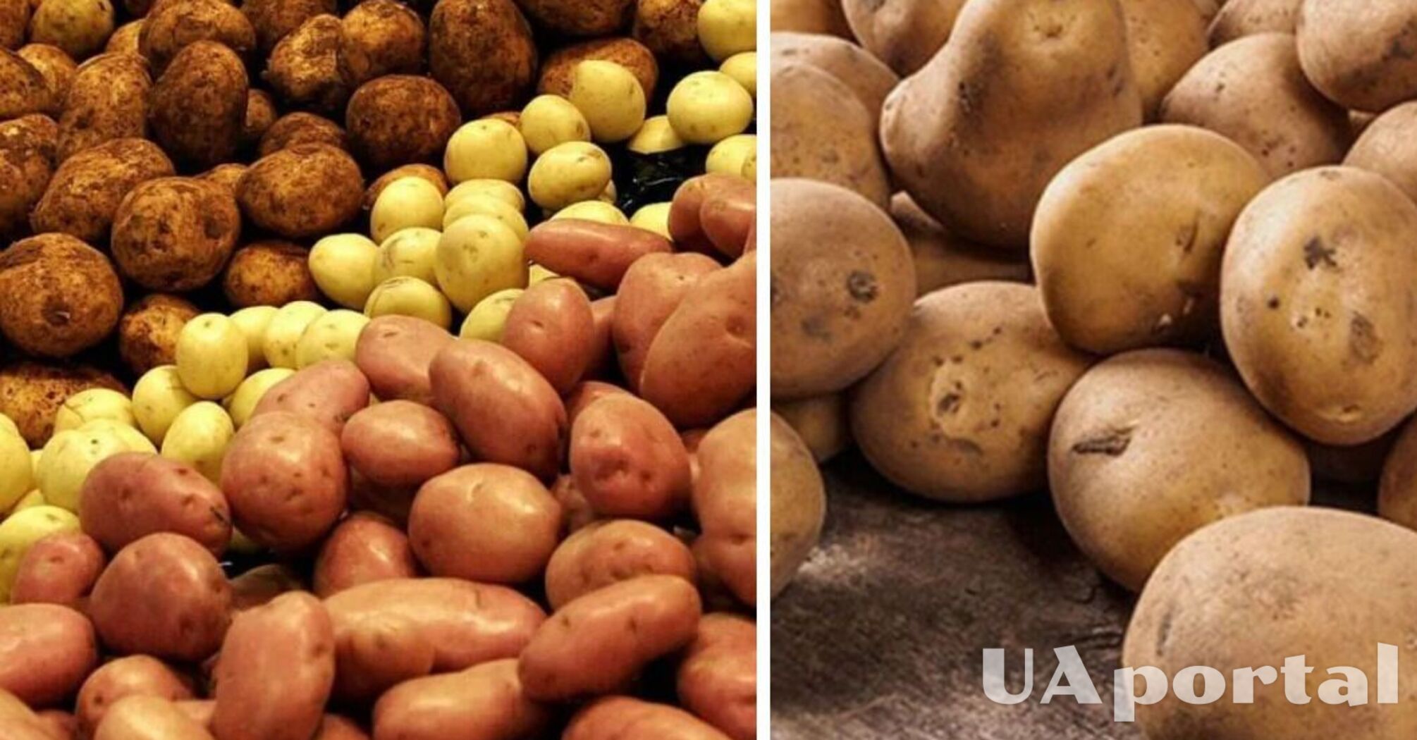 Уже на 58% дешевле: в Украине упала цена на популярный овощ