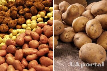 Вже на 58% дешевше: в Україні впала ціна на популярний овоч