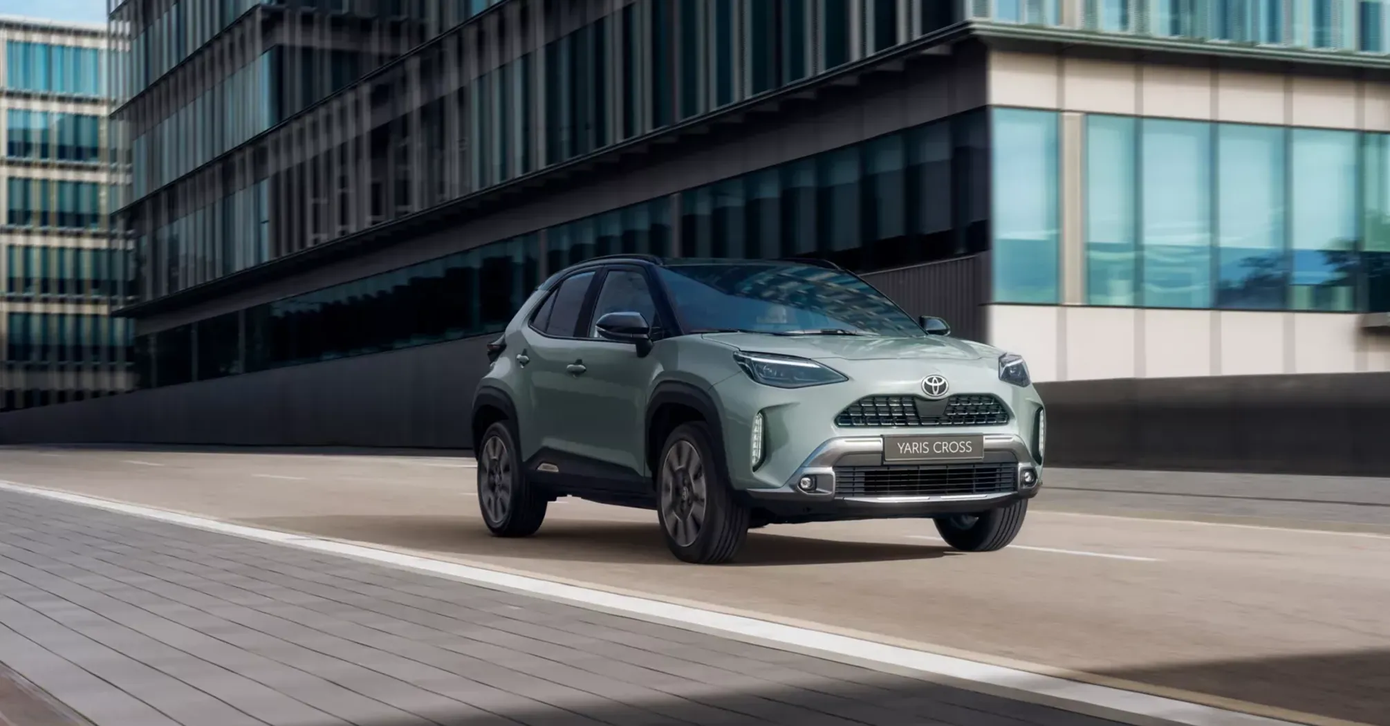 Стали лидерами рынка: топ самых популярных гибридов в Украине