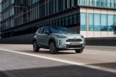 Стали лідерами ринку: топ найпопулярніших гібридів в Україні