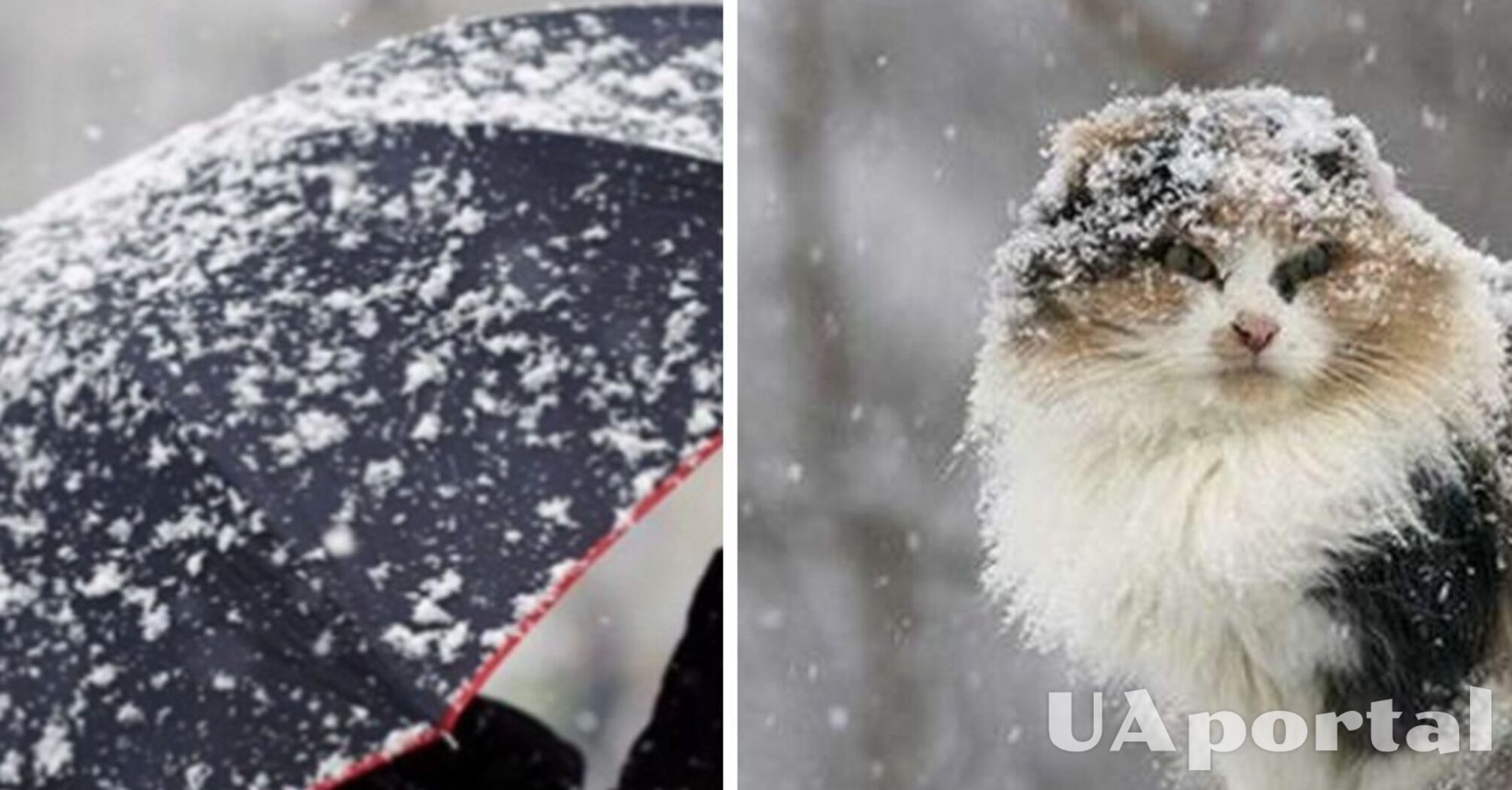 Снігом накриє пів України: прогноз погоди на 20 листопада