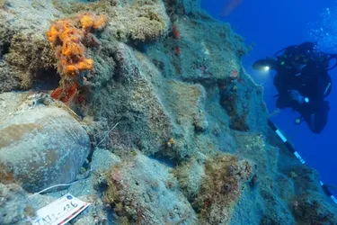 Археологи виявили у Туреччині древню гавань та кораблі віком 4000 років (фото)