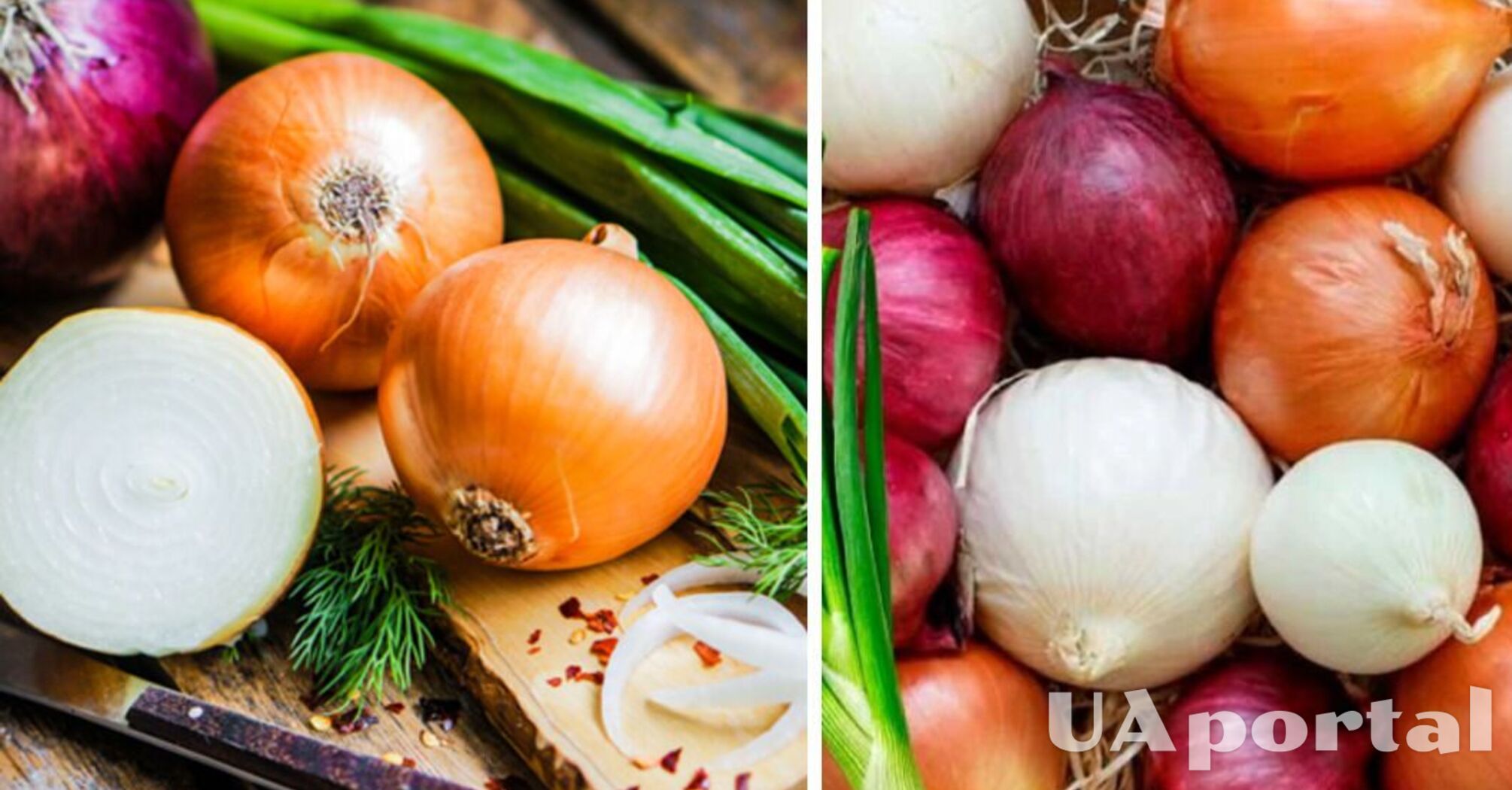 В Україні подорожчали популярні овочі та фрукти: скільки коштує кілограм  