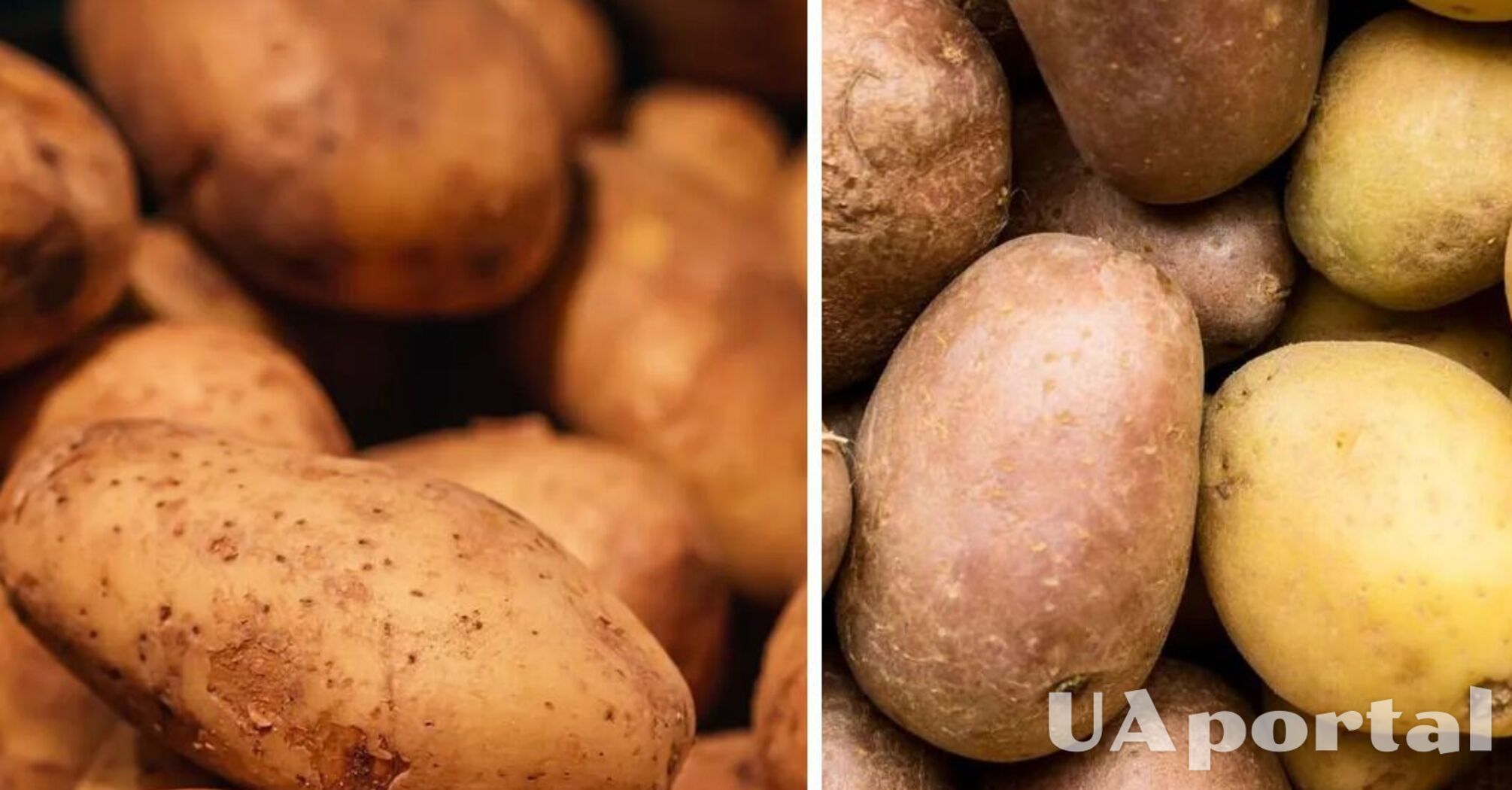 В Україні росте ціна на популярний продукт: скільки коштуватиме кілограм   