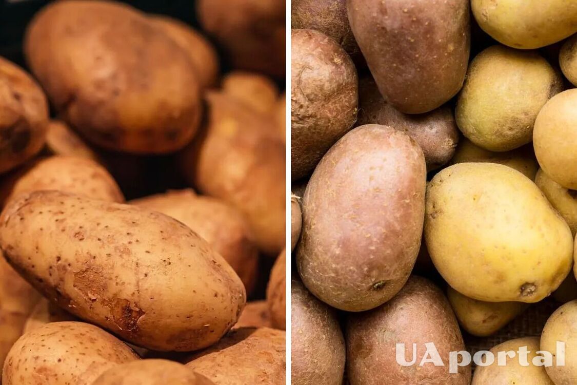 В Україні росте ціна на популярний продукт: скільки коштуватиме кілограм