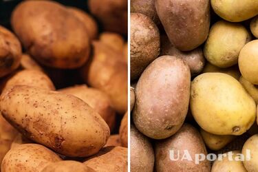 В Украине растет цена на популярный продукт: сколько будет стоить килограмм