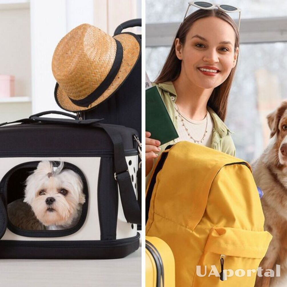 Перетин кордону з твариною: що для цього потрібно