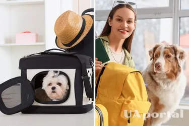 Пересечение границы с животным: что для этого нужно