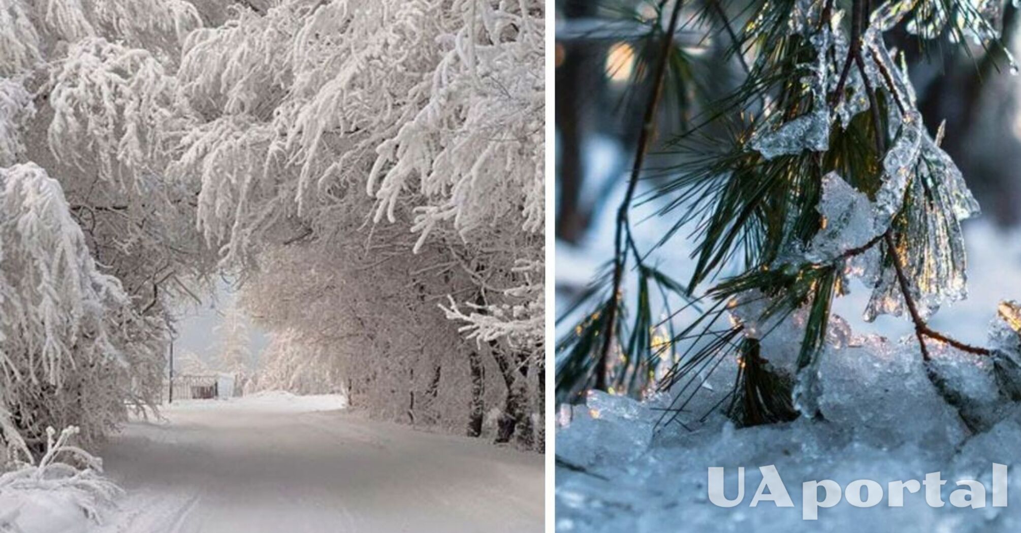 Какая будет зима в Украине: синоптики дали неожиданный прогноз