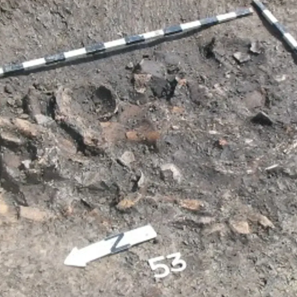 Уникальные находки: что обнаружили ученые в мусоре людей эпохи неолита (фото)