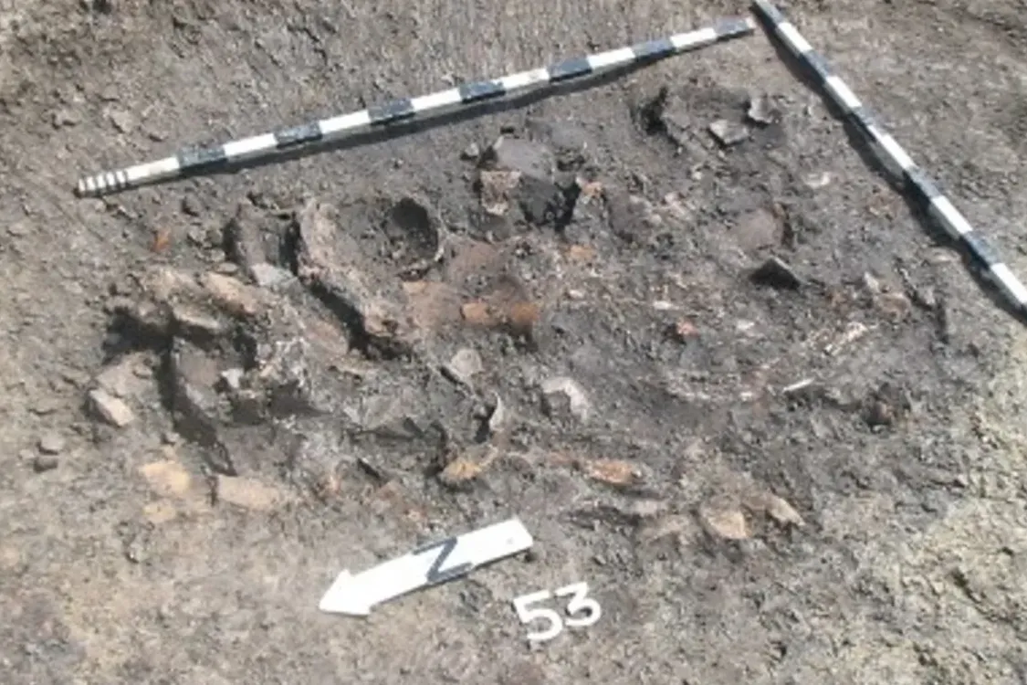 Уникальные находки: что обнаружили ученые в мусоре людей эпохи неолита (фото)