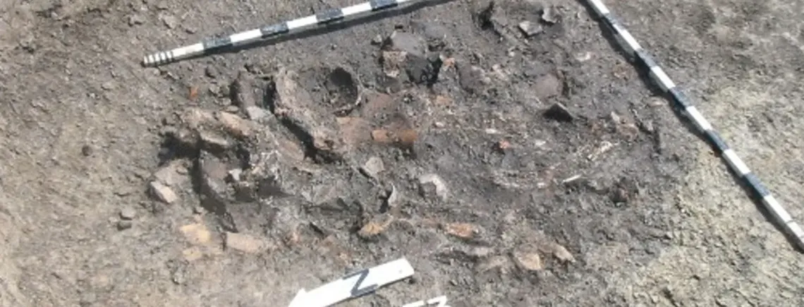 Унікальні знахідки: що виявили вчені у смітті людей епохи неоліту (фото)