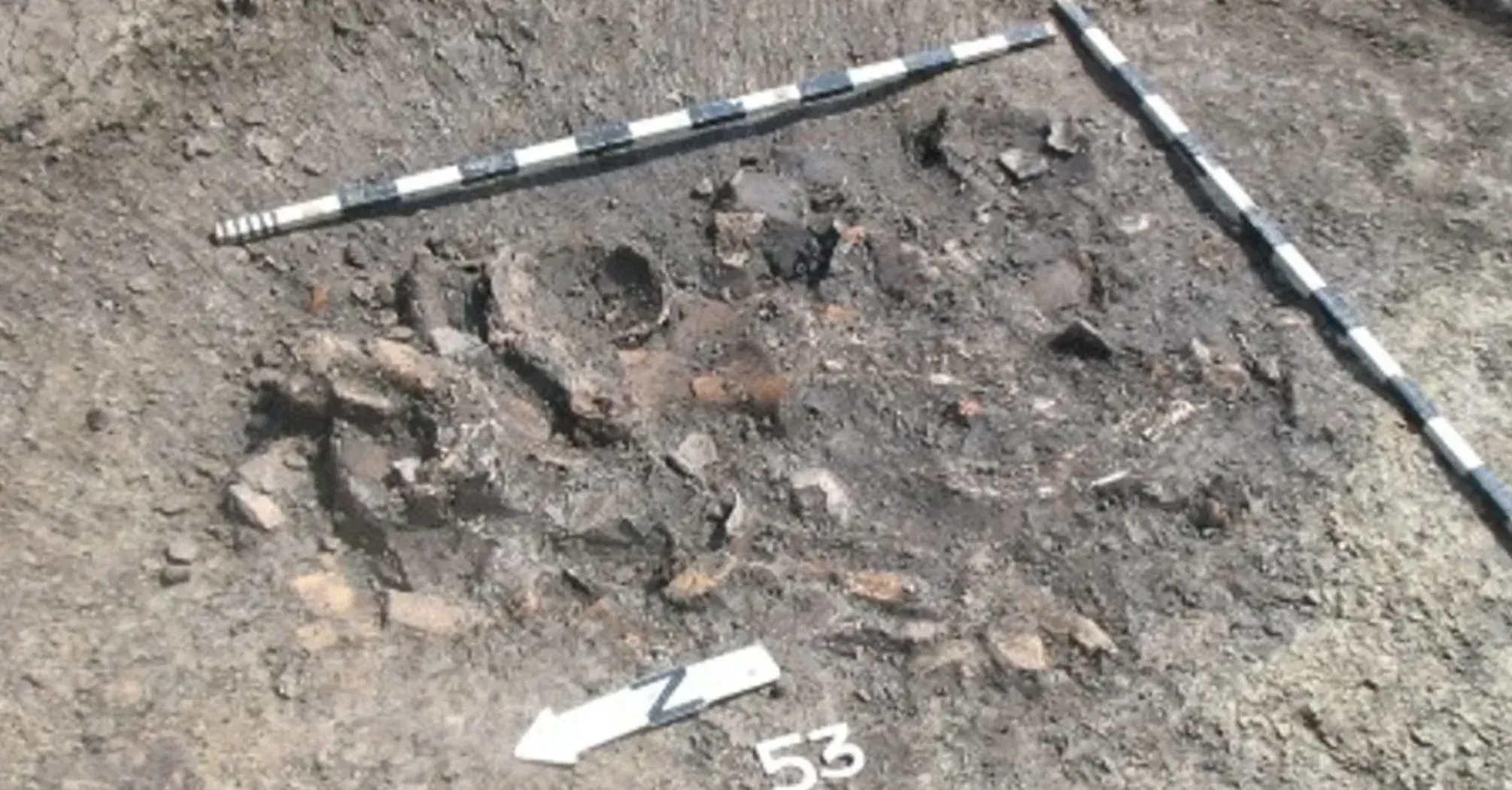 Унікальні знахідки: що виявили вчені у смітті людей епохи неоліту (фото)