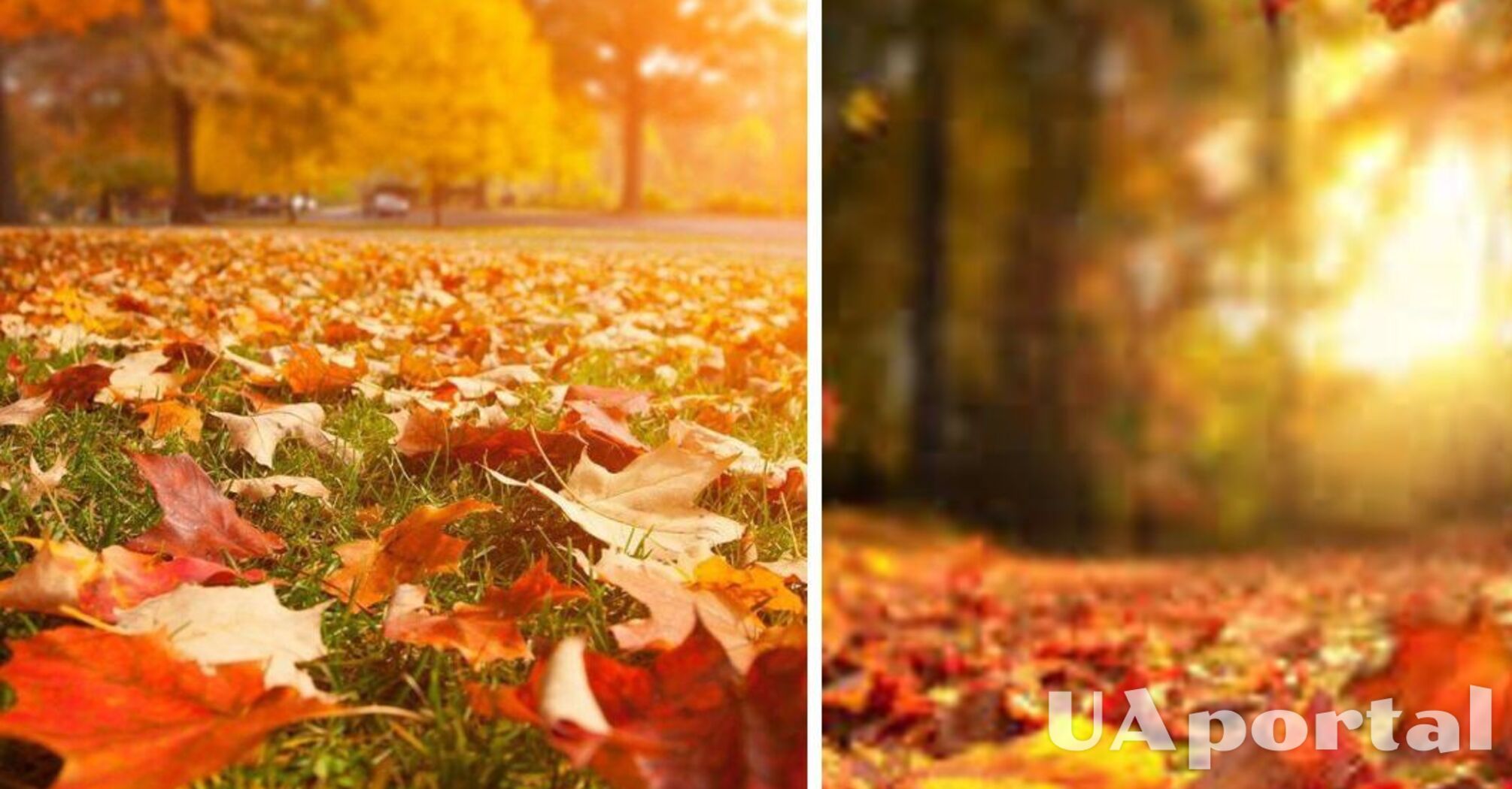 Ожидается заметное изменение погоды: прогноз на 4 ноября