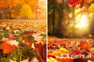 Очікується помітна зміна погоди: прогноз в Україні на 4 листопада