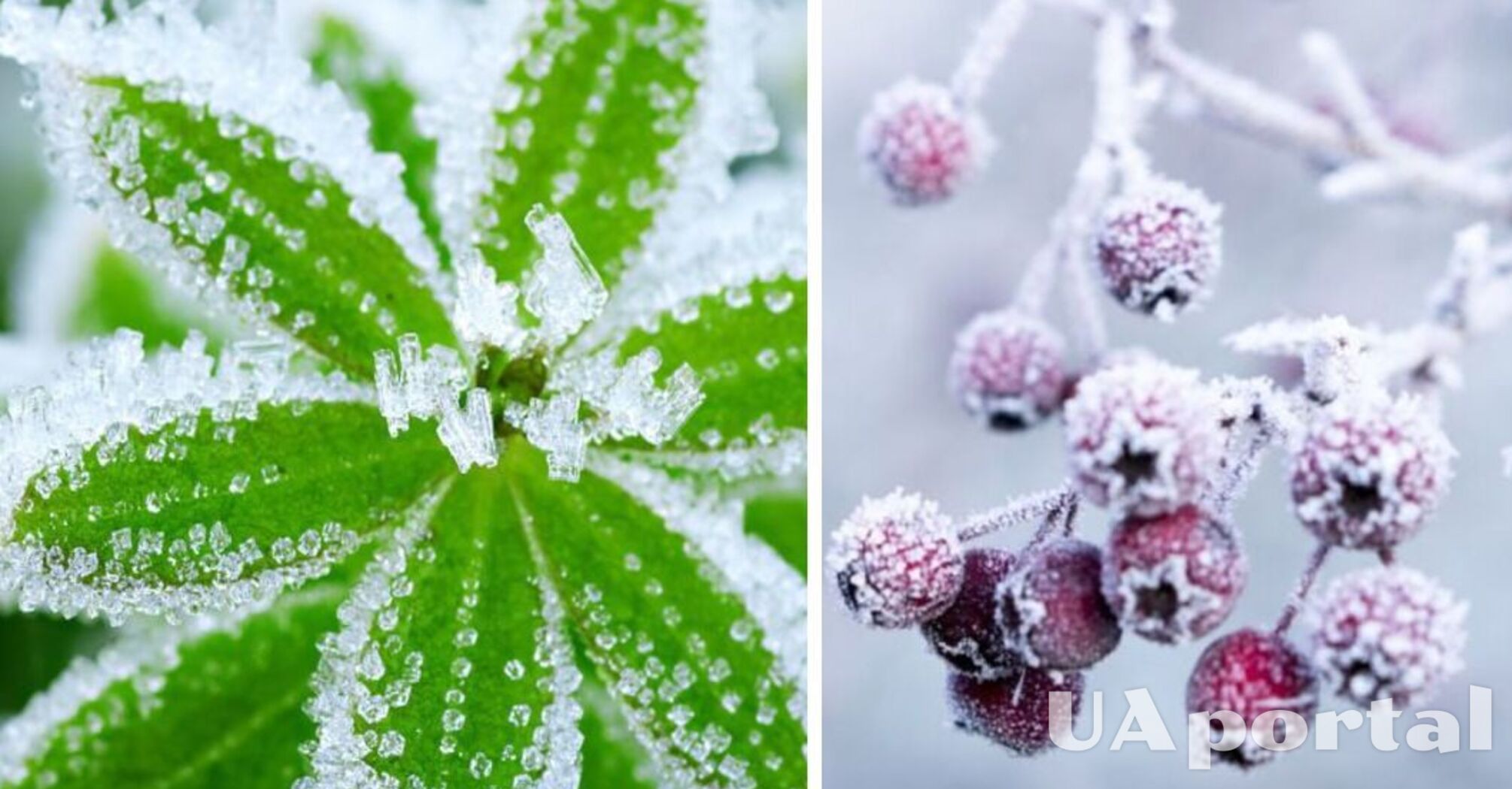 На Україну насувається похолодання до 9 градусів морозу: коли одягатись тепліше 