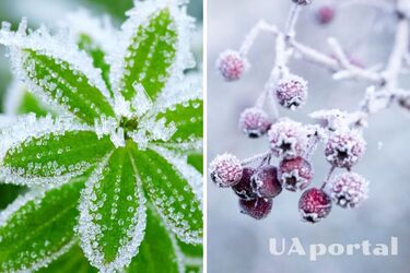 На Украину надвигается похолодание до 9 градусов мороза: когда одеваться теплее