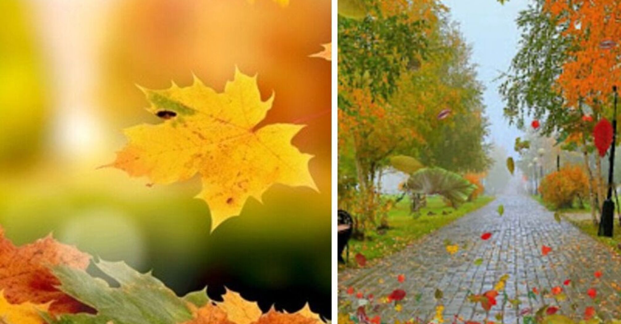 До 13 градусов тепла: прогноз погоды в Украине на выходные