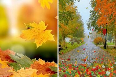 До 13 градусів тепла: прогноз погоди в Україні на вихідні