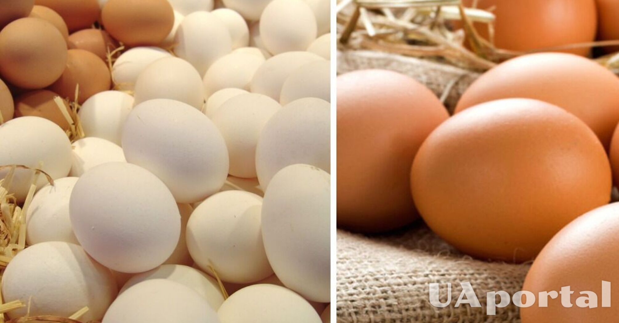 До 100 гривен за десяток: в Украине катастрофически дорожают яйца