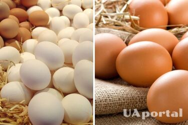 До 100 гривен за десяток: в Украине катастрофически дорожают яйца