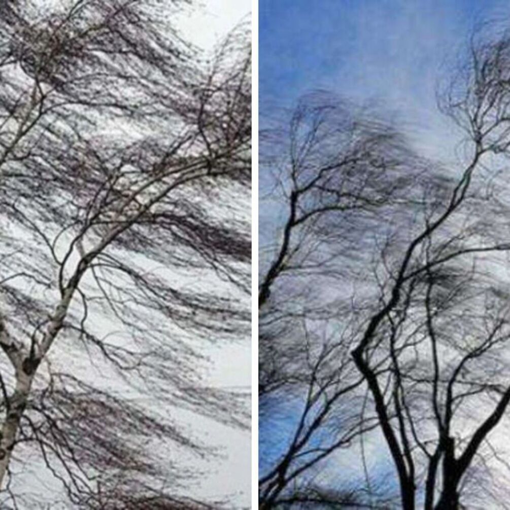 Ветер, дождливая погода с мокрым снегом: прогноз в Украине на 12 декабря