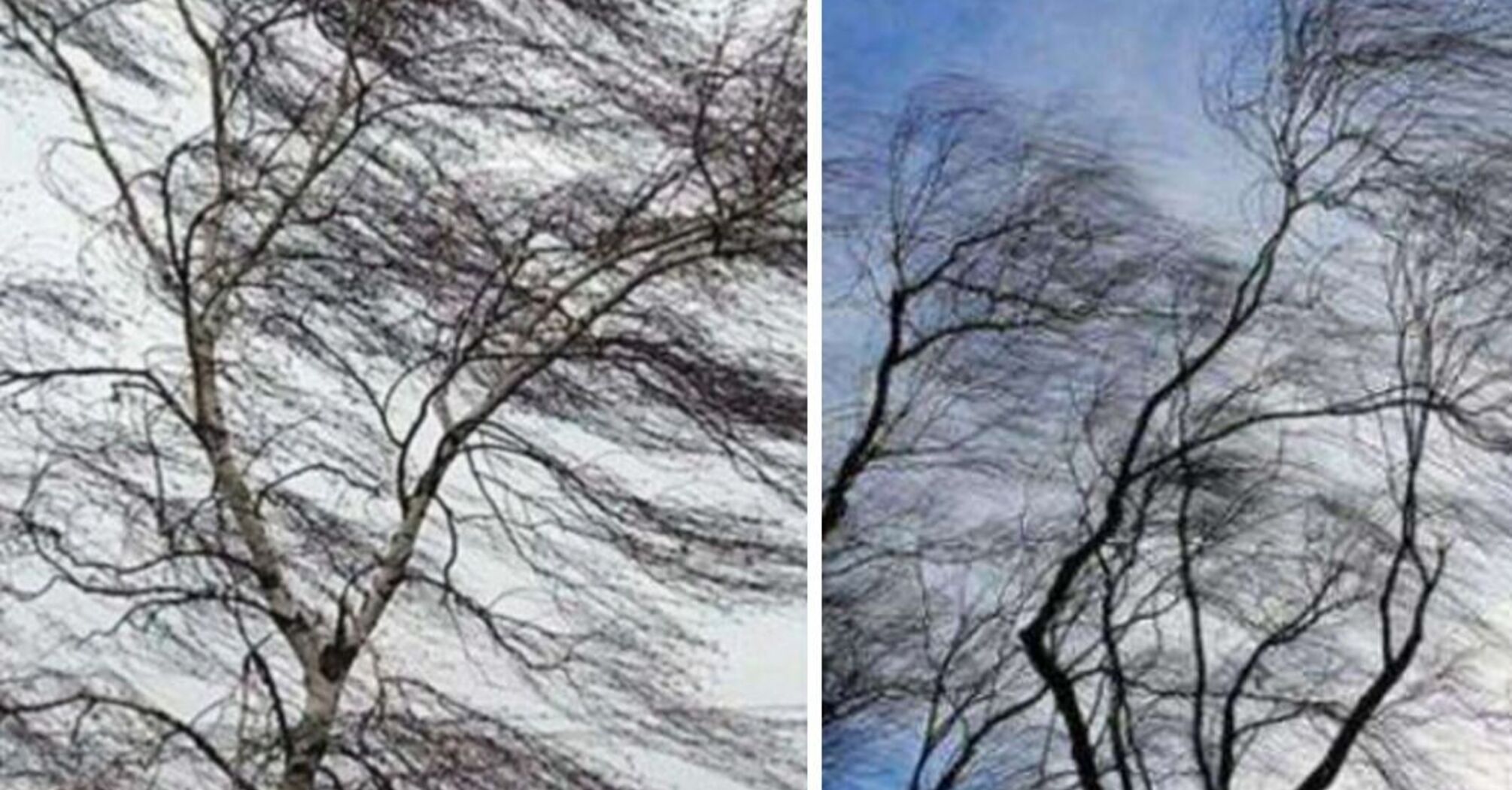 Вітряна, дощова погода з мокрим снігом: прогноз в Україні на 12 грудня