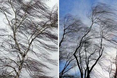 Ветер, дождливая погода с мокрым снегом: прогноз в Украине на 12 декабря