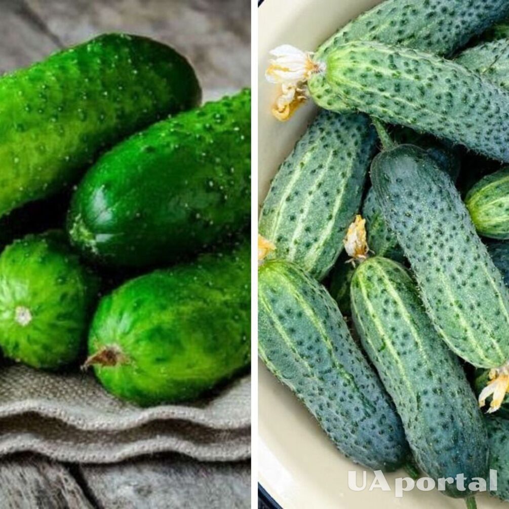 В Україні впала ціна на популярний овоч: яка вартість кілограму