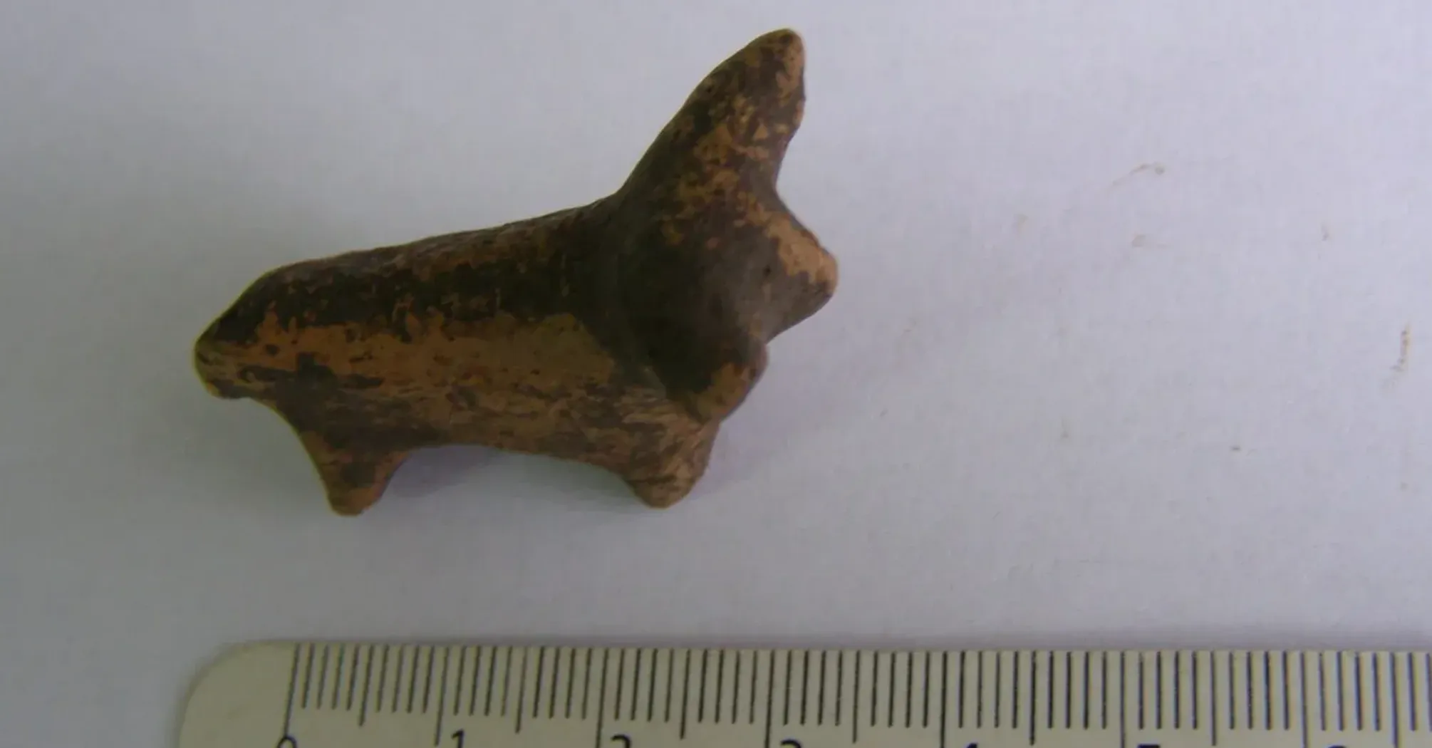 В Ивано-Франковской области нашли трипольскую фигурку быка в возрасте 6000 лет (фото)