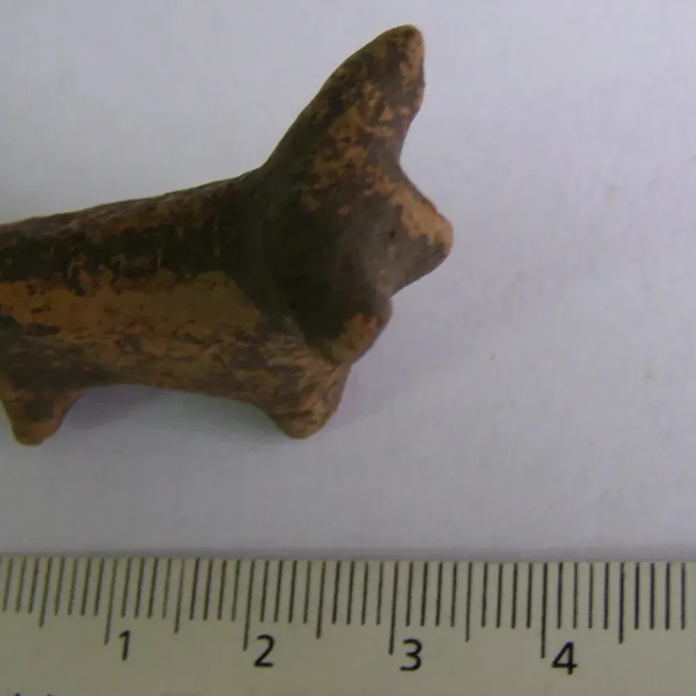 На Івано-Франківщині знайшли трипільську фігурку бика віком 6000 років (фото)