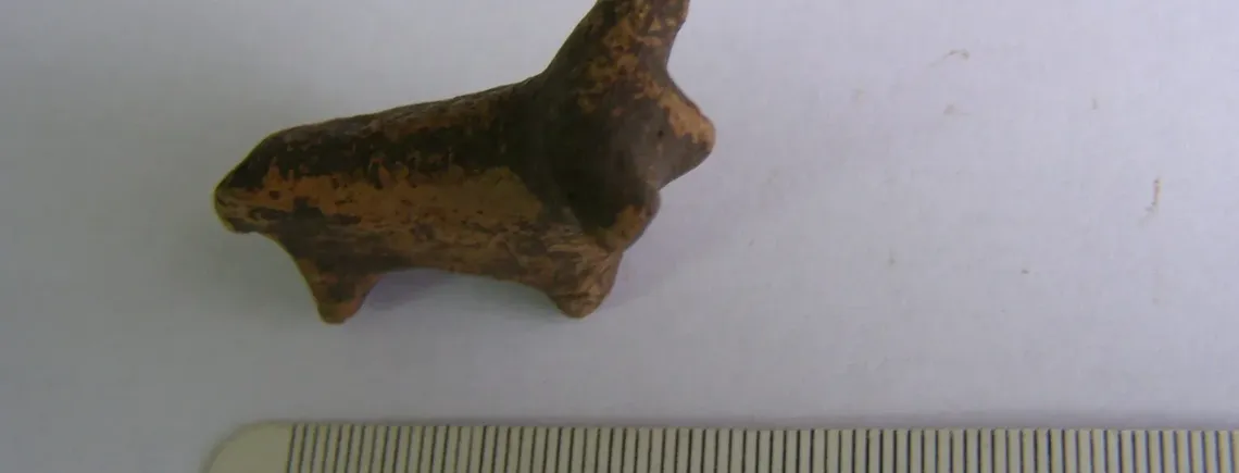 На Івано-Франківщині знайшли трипільську фігурку бика віком 6000 років (фото)