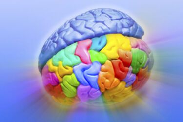 Що справді робить мозок молодшим?