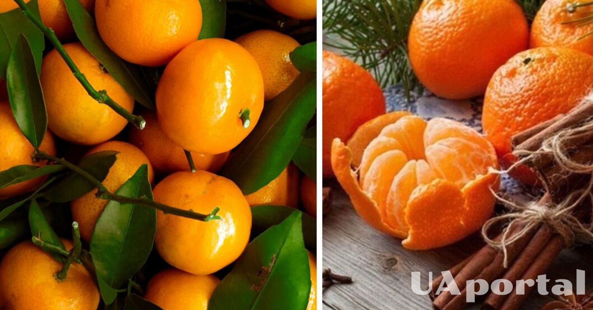 В Україні подорожчав популярний 'новорічний' продукт: скільки коштує