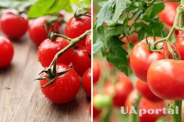 В Украине стремительно дорожает популярный овощ: какая цена за килограмм