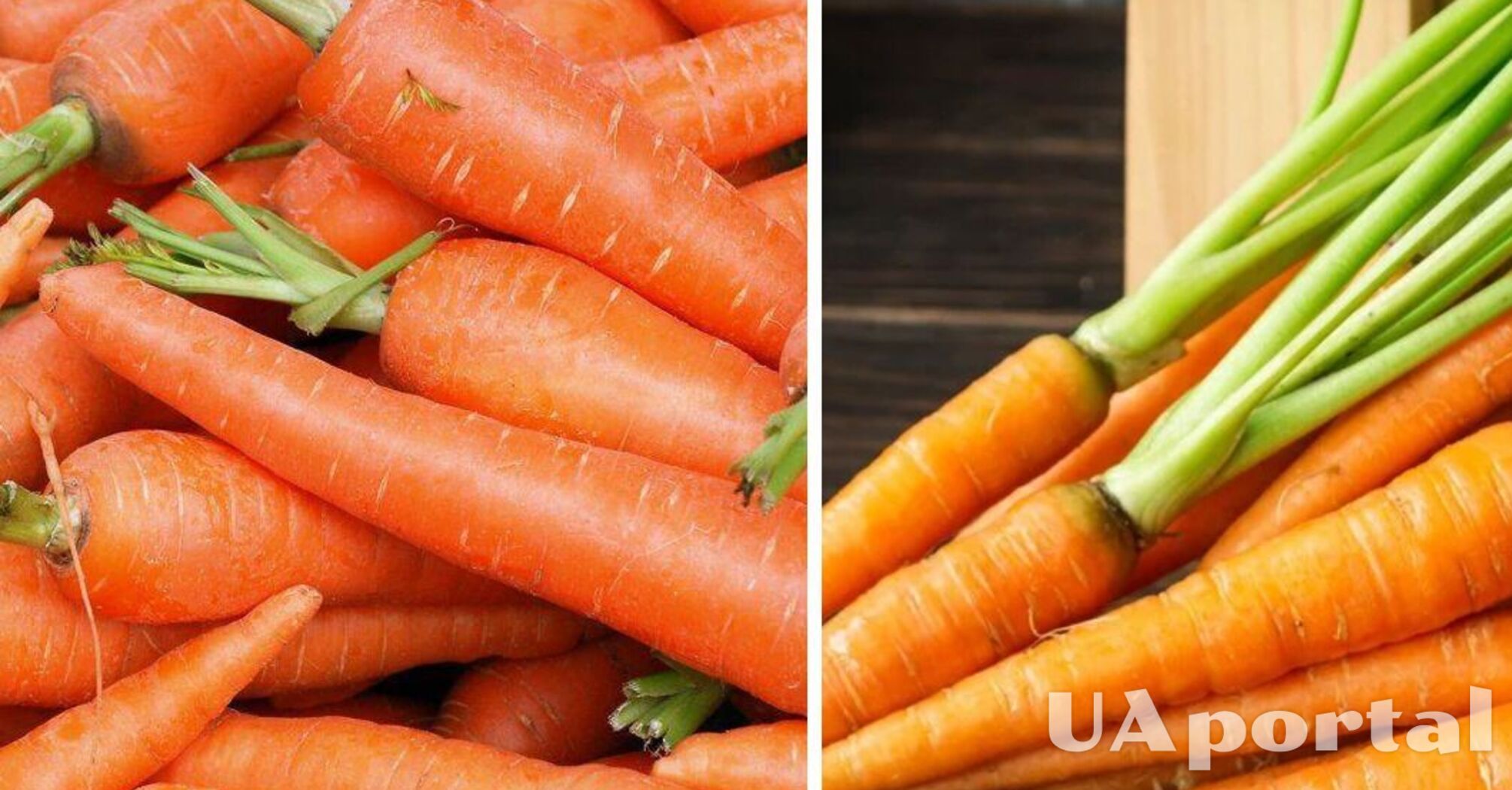 В Украине снизилась цена на популярные овощи: какая стоимость килограмма