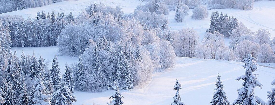 До –11 градусів: коли в Україні вдарять морози
