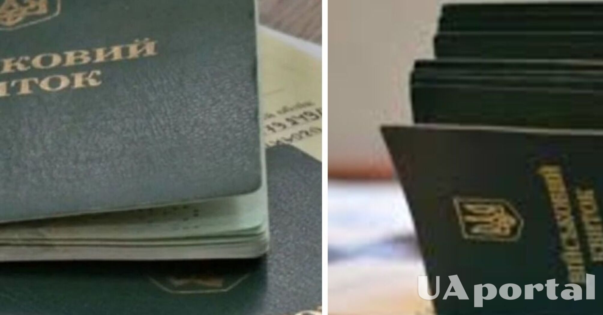 Отсрочка по уходу за пожилыми родственниками: как оформить