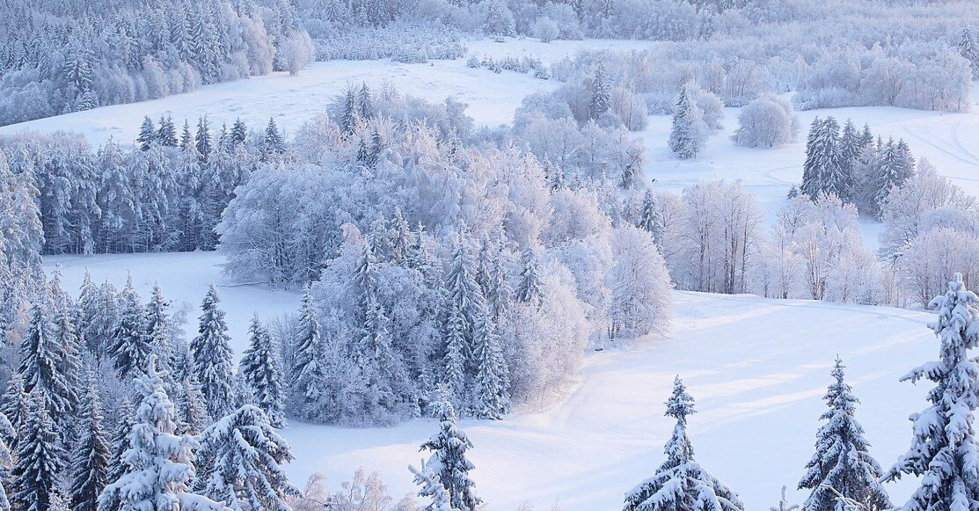 Морози до -13 та снігопади насуваються: коли в Україні похолодає   