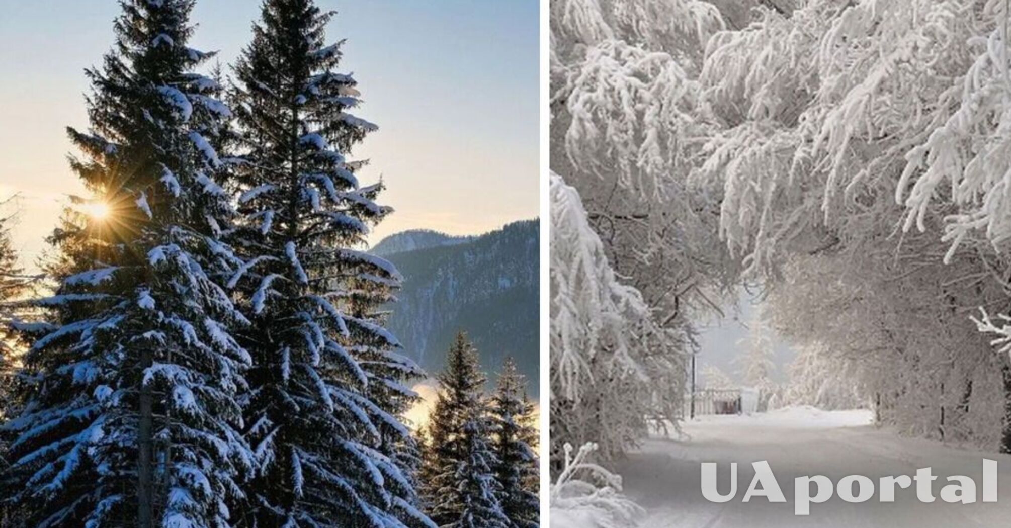 Малохмарна погода та до 12 градусів морозу: прогноз погоди в Україні на 24 та 25 грудня