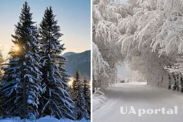 Малохмарна погода та до 12 градусів морозу: прогноз погоди в Україні на 24 та 25 грудня