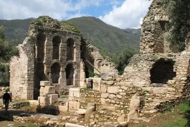 Археологи виявили у Туреччині прохід до стародавньої бібліотеки (фото)