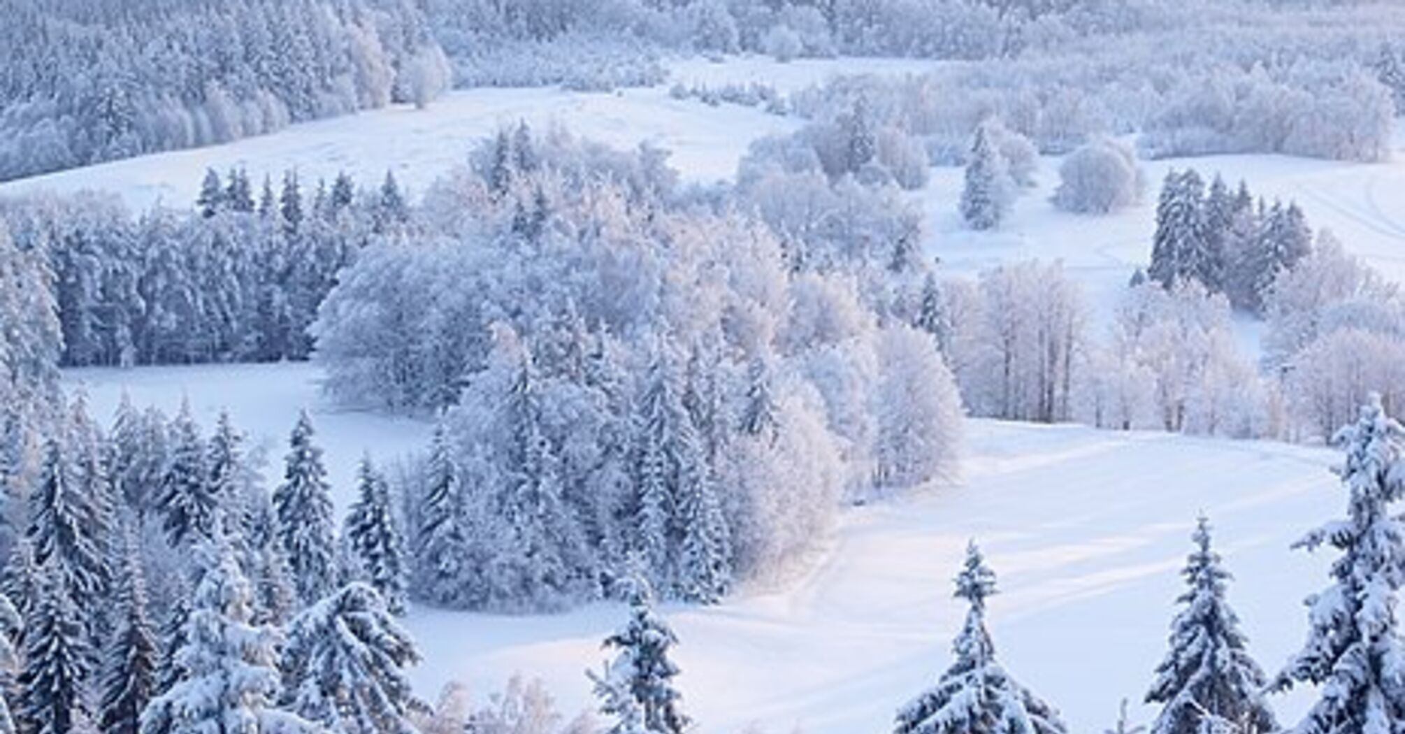 До 13 градусов мороза: где в Украине будет самое холодное в ближайшее время