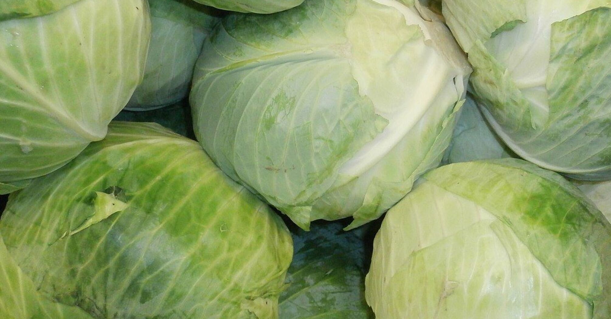 В Украине упала стоимость популярного продукта: сколько стоит