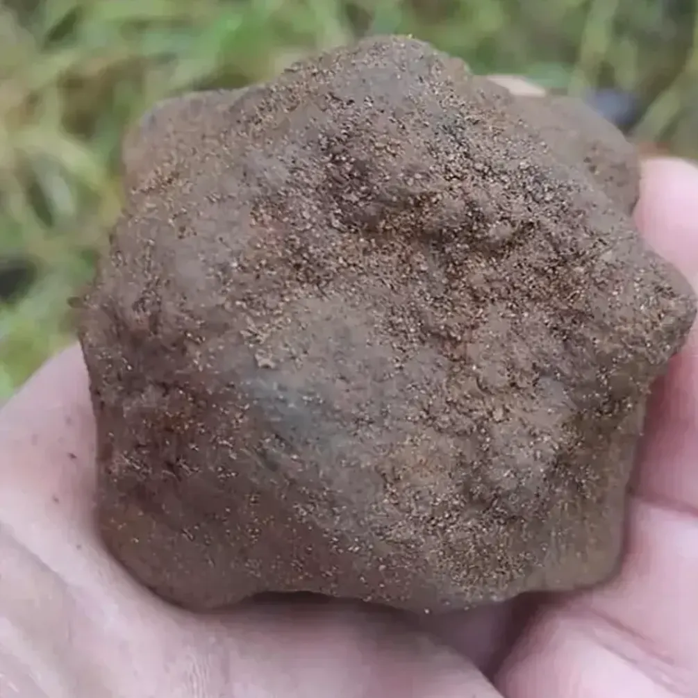 В Польше обнаружили уникальный артефакт эпохи Грюнвальдской битвы: чем интересен (фото)