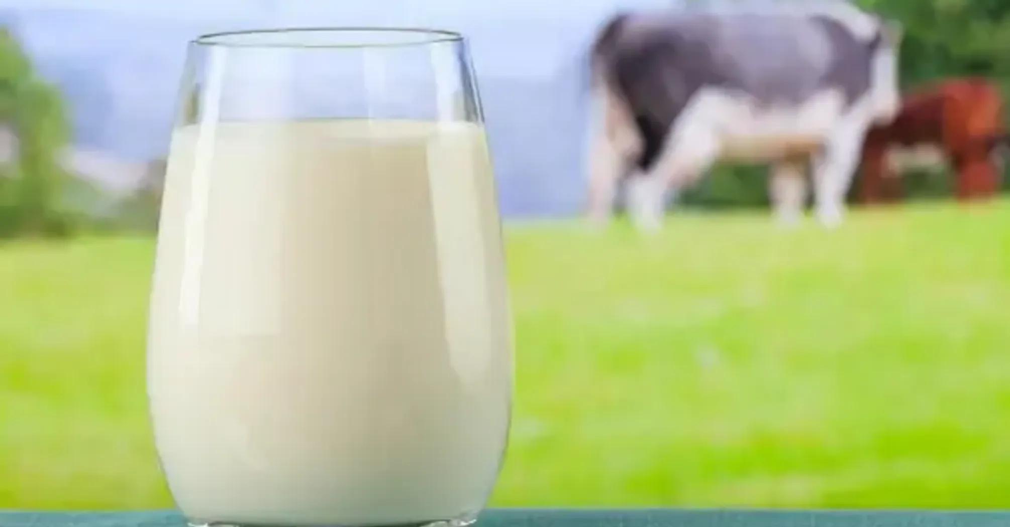 В Украине резко падают цены на популярный продукт: какая стоимость